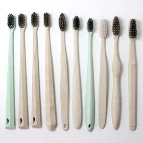 Biobased Toothbrush